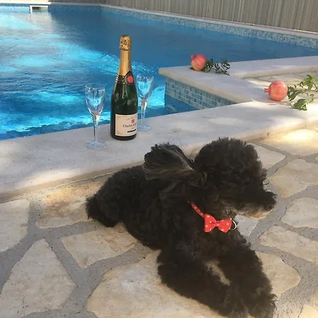 Bisou Βίλα